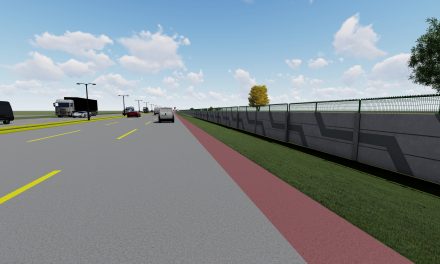 Vialidad y Barda perimetral