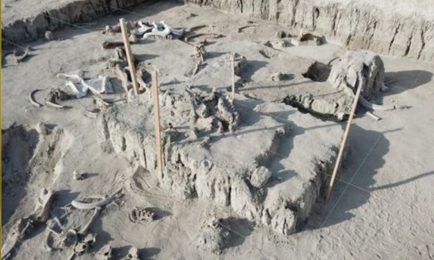 Salvamento Arqueológico por parte del  Instituto Nacional de Antropología e Historia.