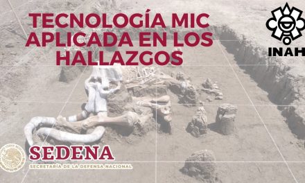 Mamuts en el AIFA, tecnología MIC aplicada en su salvamento