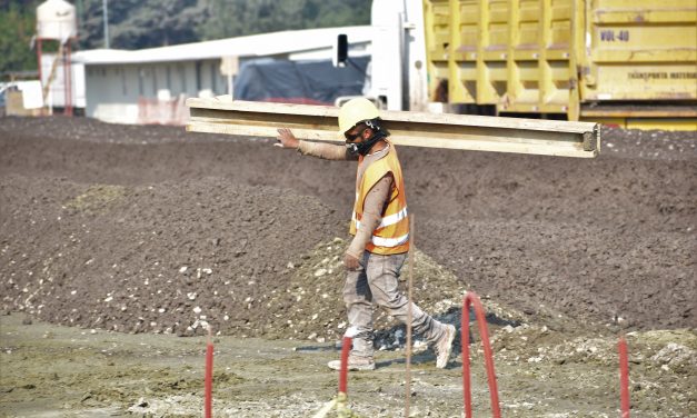 Reporte de Avance 1 junio 2020